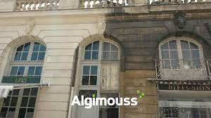 algimouss pour facade